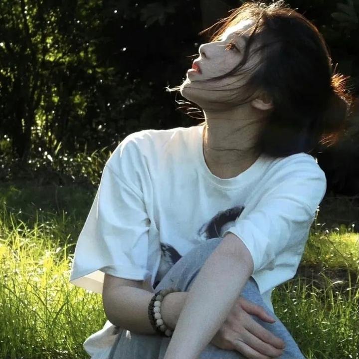 胡同猫